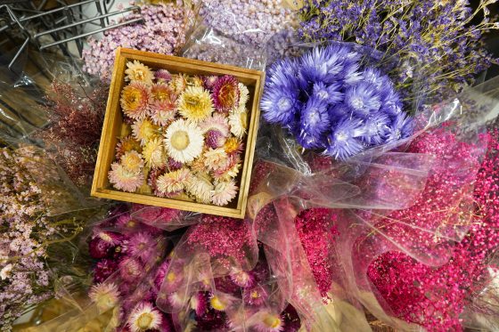 Dried floral material in yellow, purple, and pink.